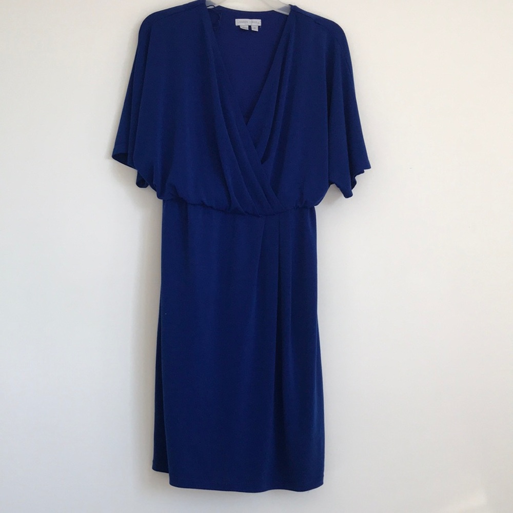 Blue dress